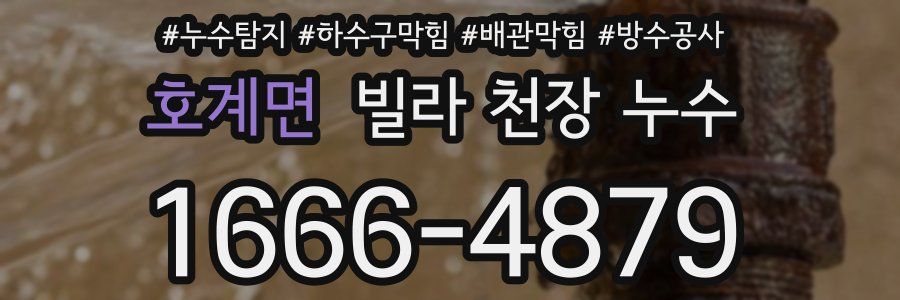 호계면 빌라 천장 누수