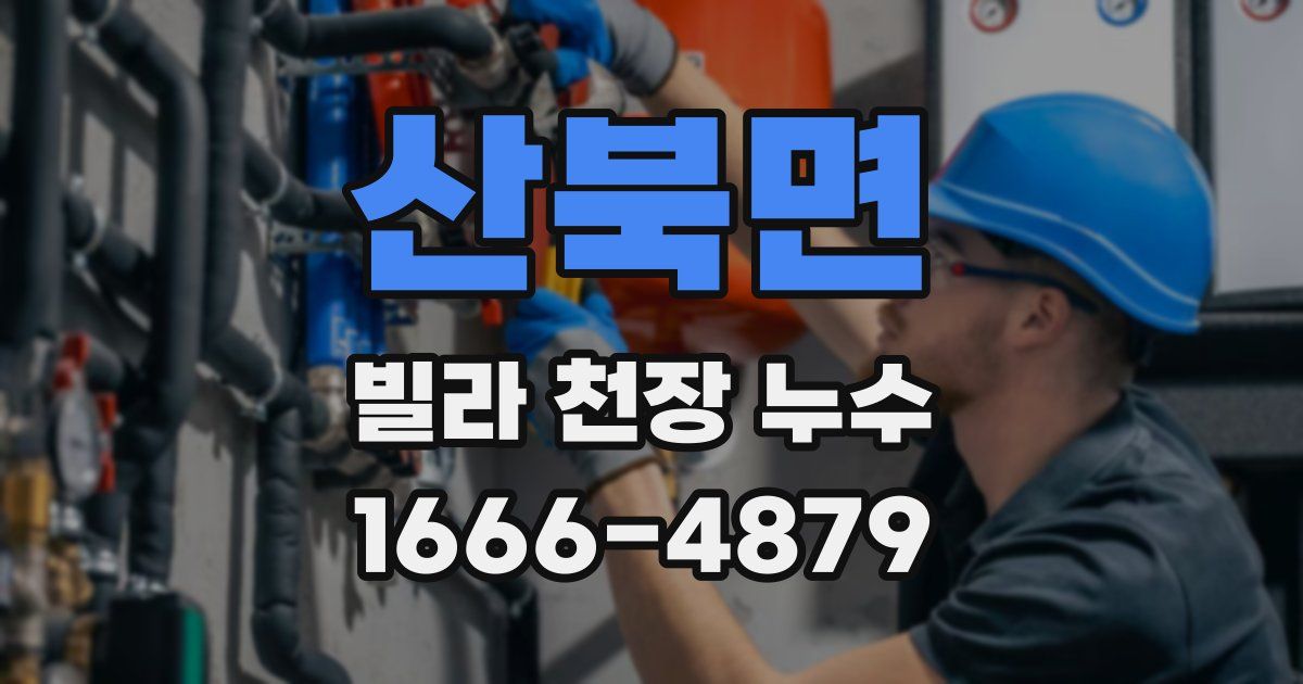 산북면 빌라 천장 누수