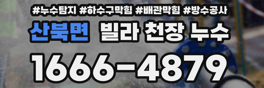 산북면 빌라 천장 누수