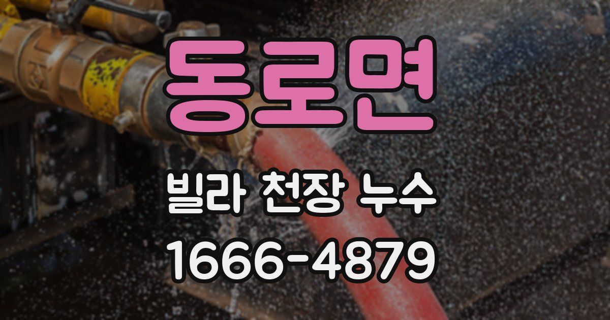 동로면 빌라 천장 누수