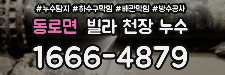동로면 빌라 천장 누수