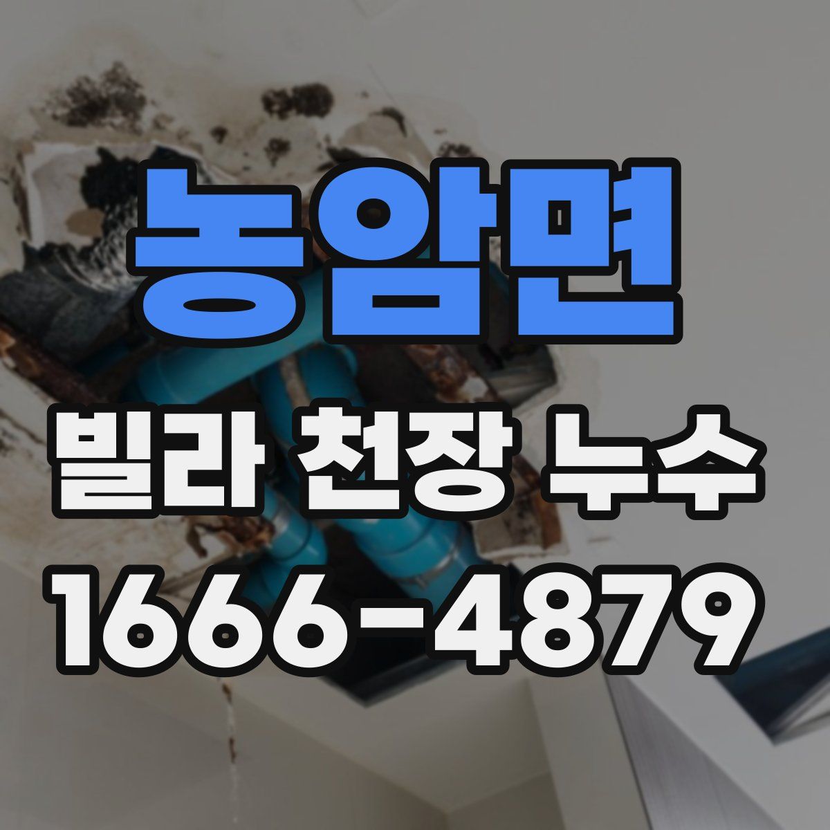 농암면 빌라 천장 누수
