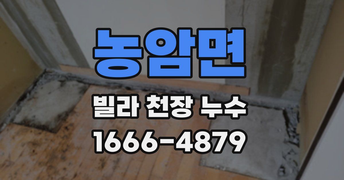 농암면 빌라 천장 누수