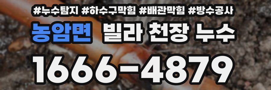 농암면 빌라 천장 누수