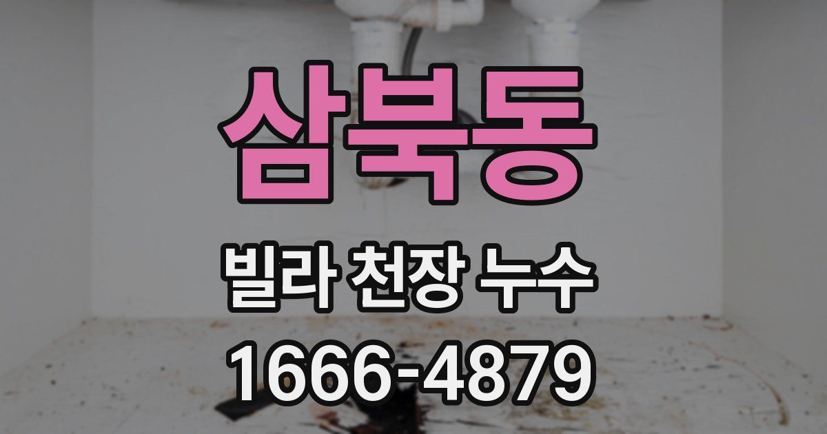 삼북동 빌라 천장 누수