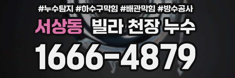 서상동 빌라 천장 누수