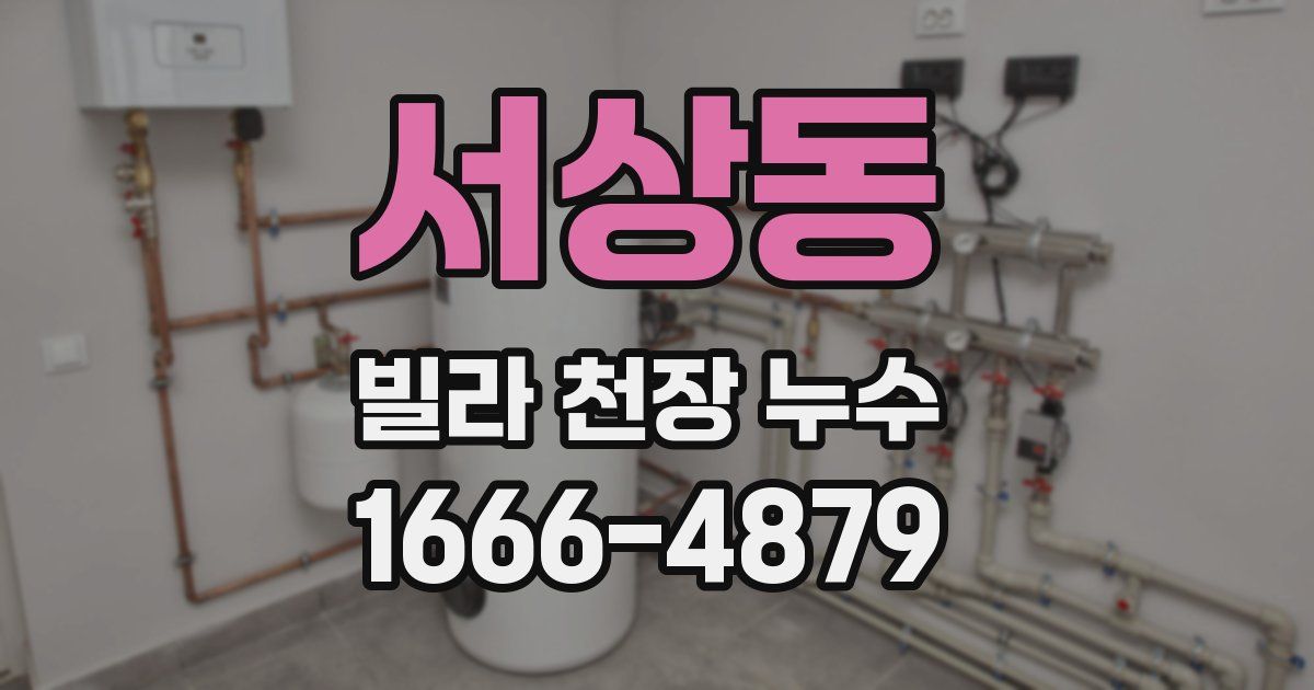 서상동 빌라 천장 누수