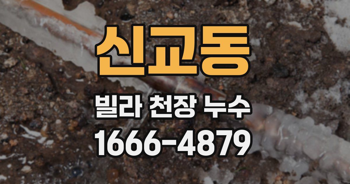신교동 빌라 천장 누수