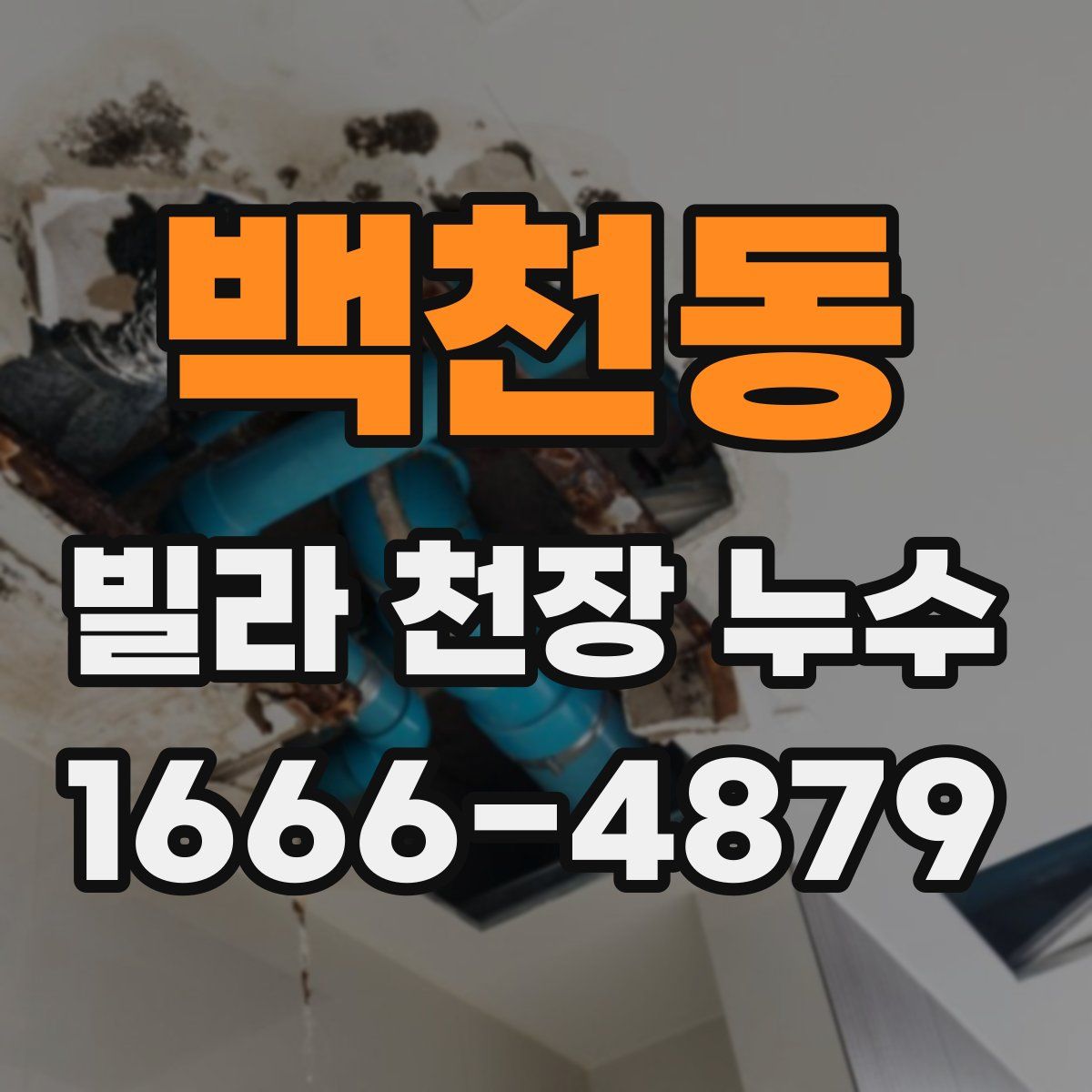 백천동 빌라 천장 누수