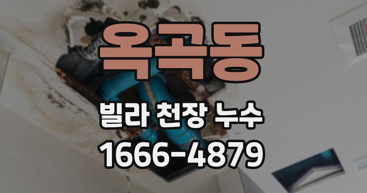 옥곡동 빌라 천장 누수