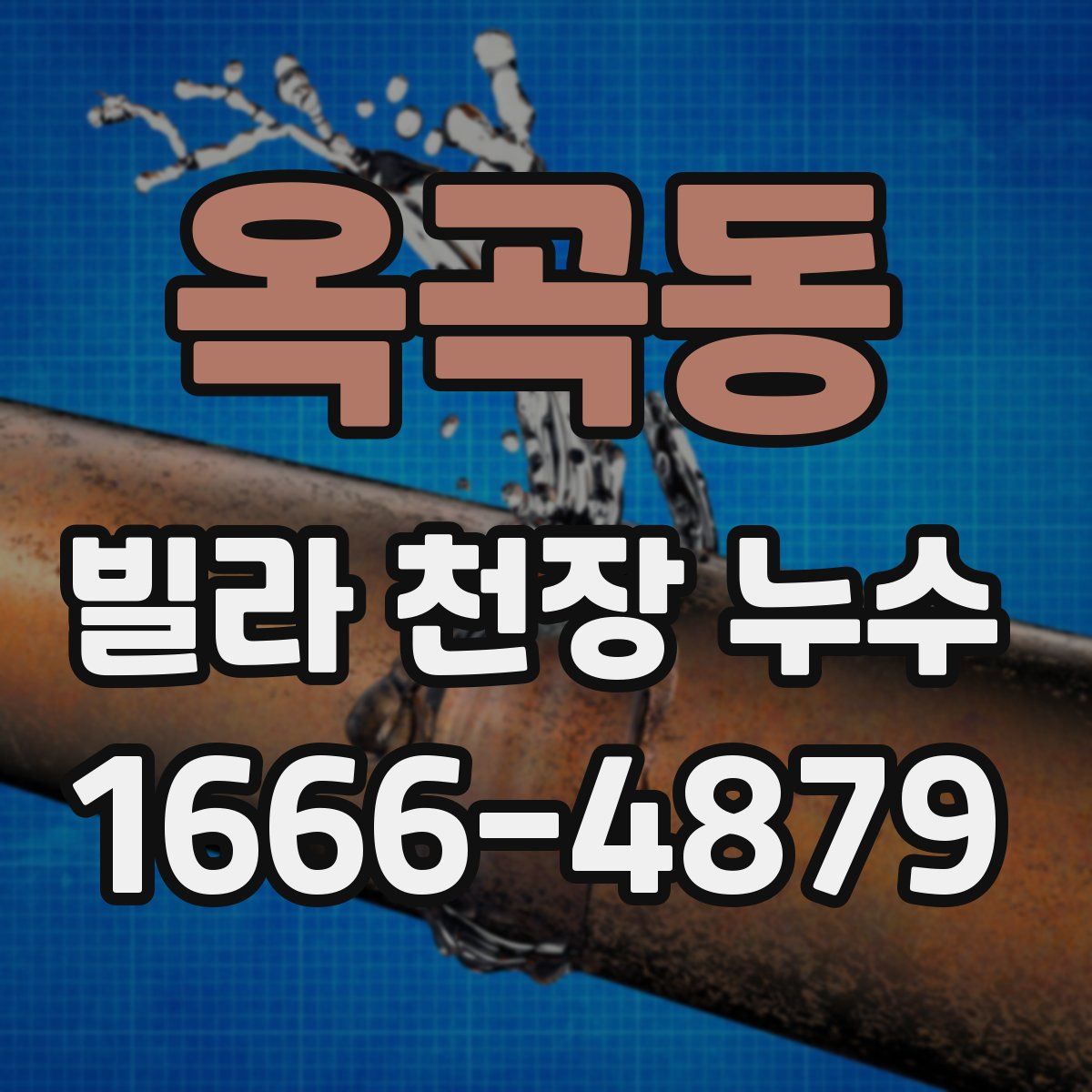 옥곡동 빌라 천장 누수