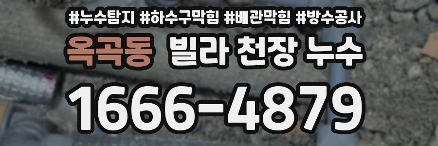 옥곡동 빌라 천장 누수