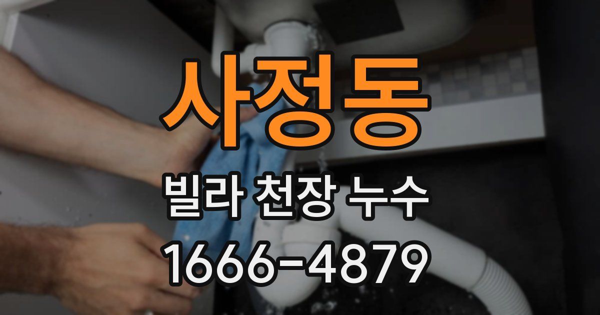 사정동 빌라 천장 누수