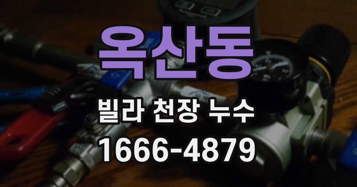 옥산동 빌라 천장 누수