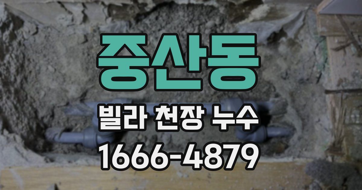 중산동 빌라 천장 누수