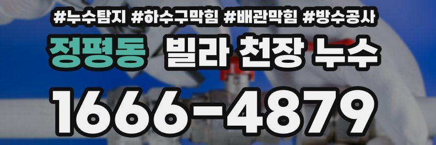 정평동 빌라 천장 누수