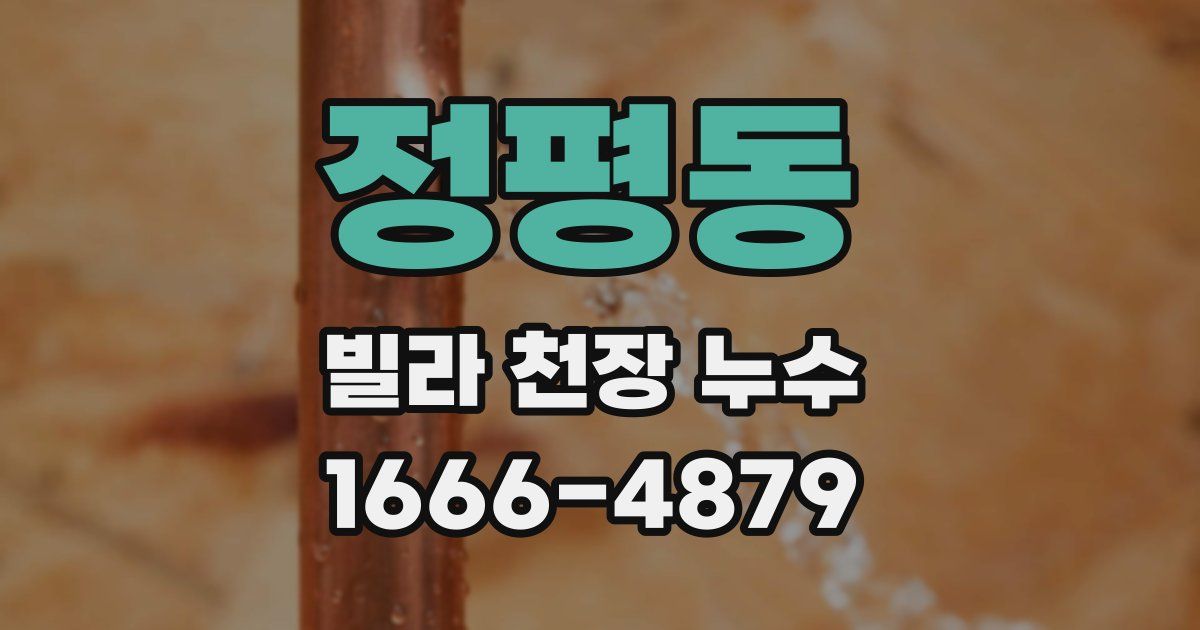 정평동 빌라 천장 누수