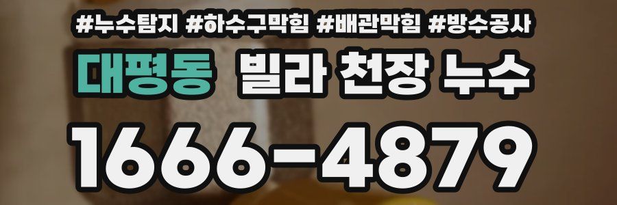 대평동 빌라 천장 누수
