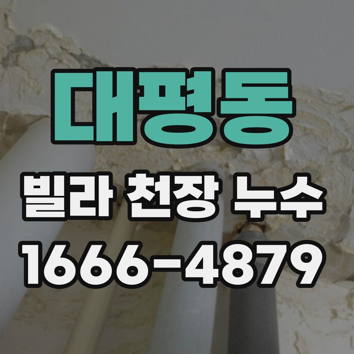 대평동 빌라 천장 누수