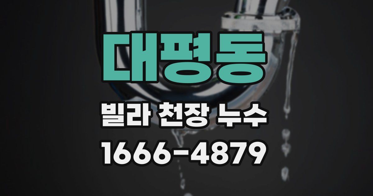 대평동 빌라 천장 누수