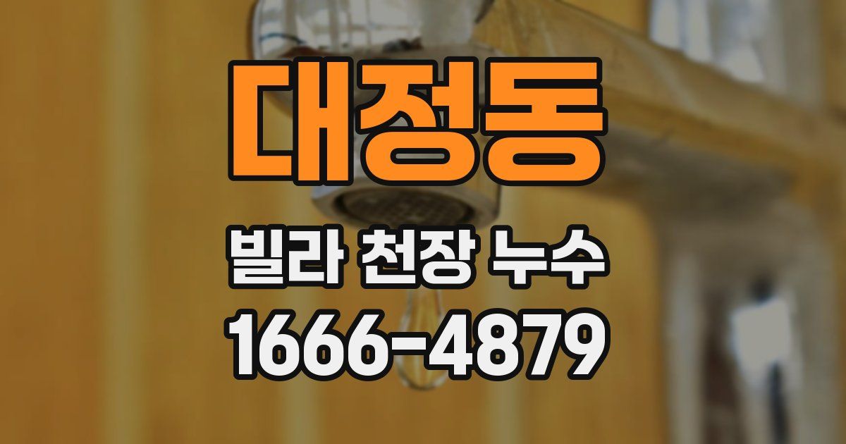 대정동 빌라 천장 누수