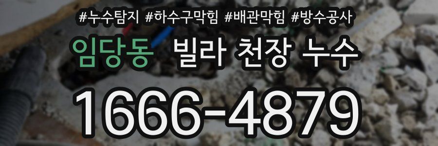 임당동 빌라 천장 누수
