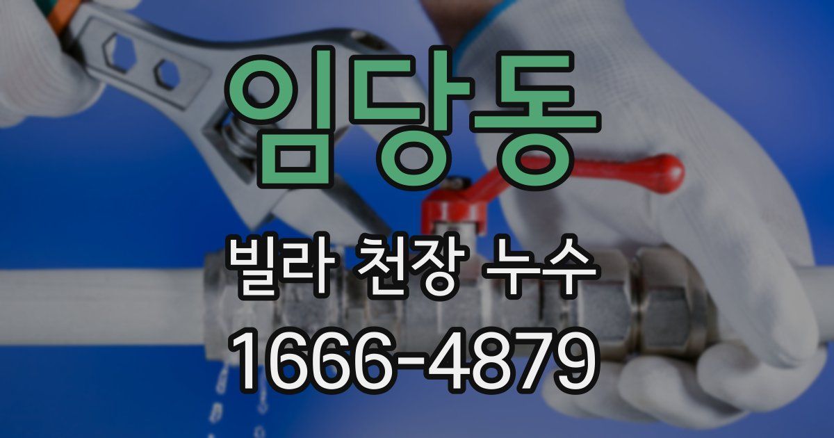 임당동 빌라 천장 누수
