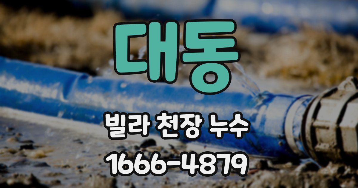 대동 빌라 천장 누수