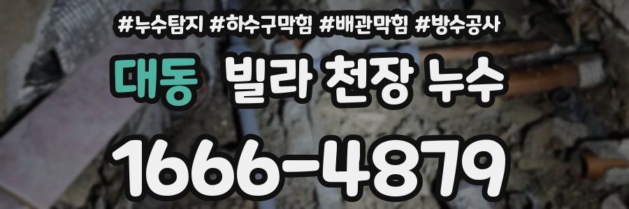 대동 빌라 천장 누수