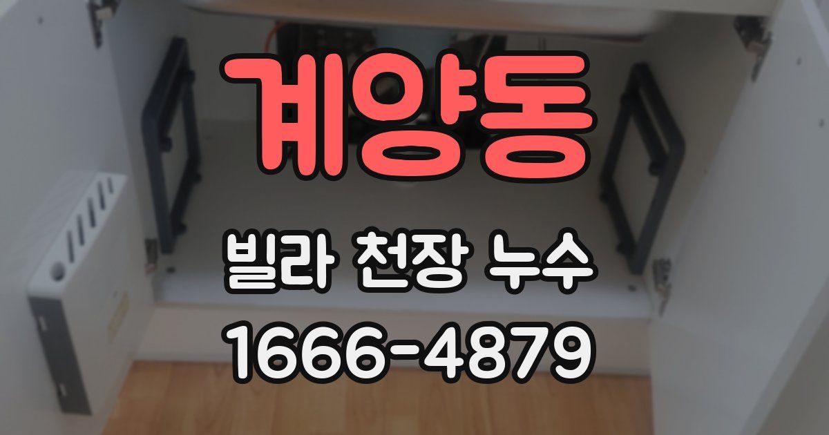 계양동 빌라 천장 누수