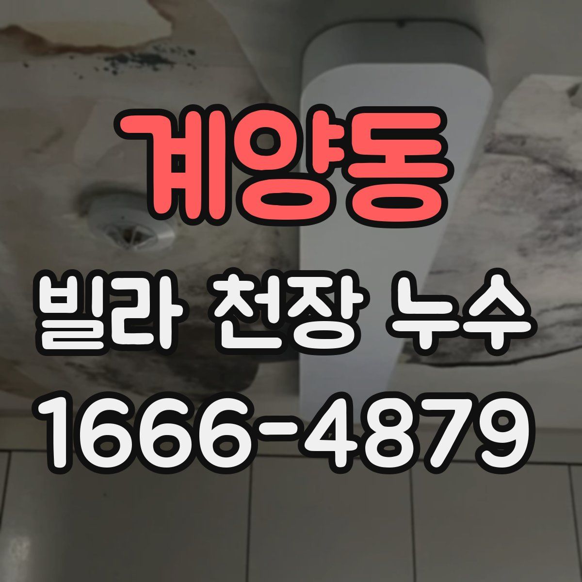 계양동 빌라 천장 누수