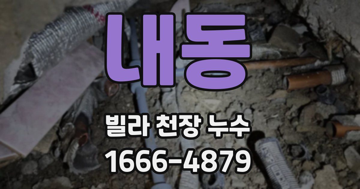 내동 빌라 천장 누수