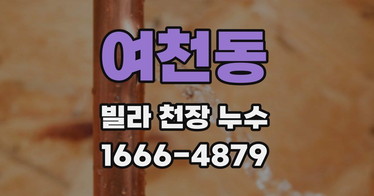여천동 빌라 천장 누수