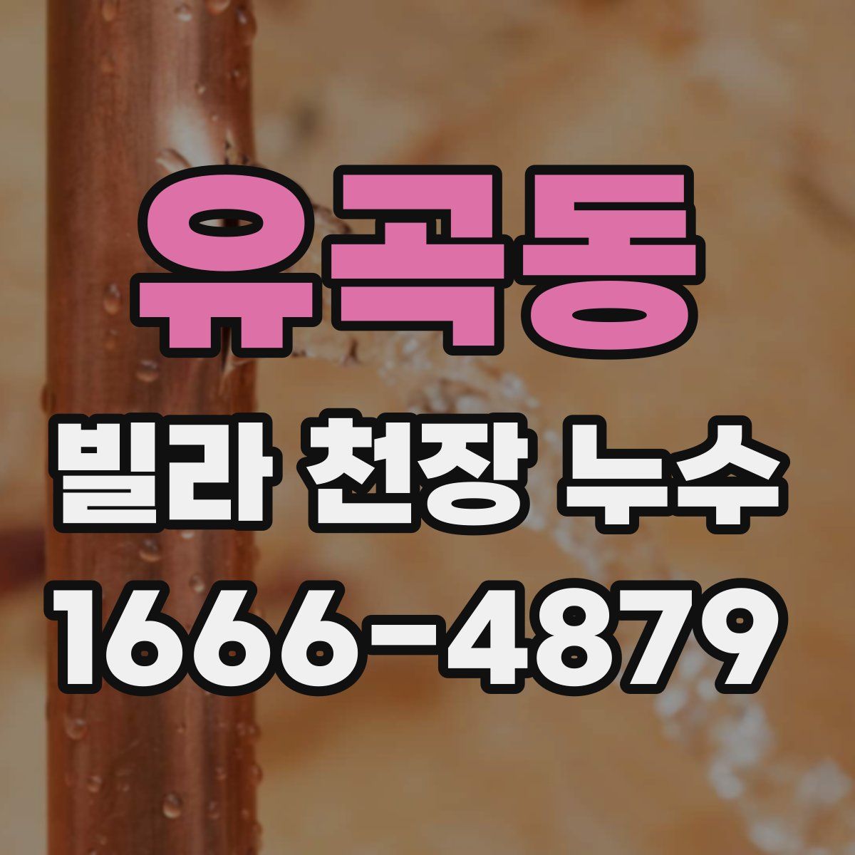 유곡동 빌라 천장 누수