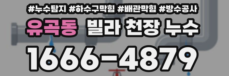 유곡동 빌라 천장 누수
