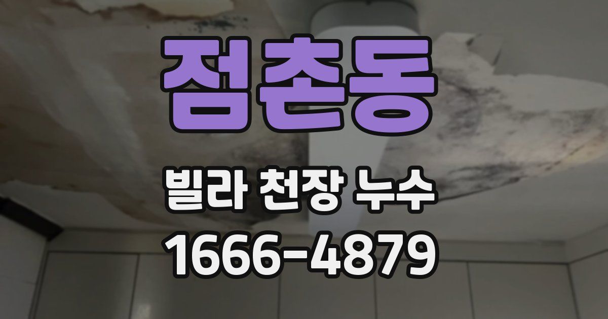 점촌동 빌라 천장 누수