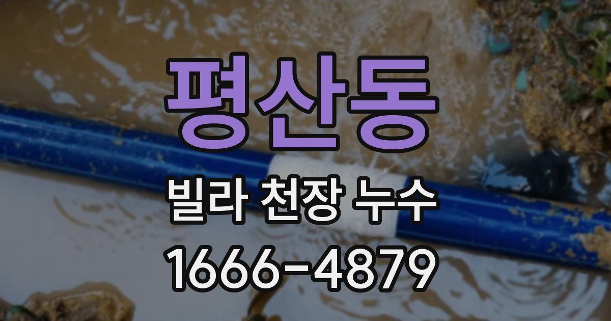 평산동 빌라 천장 누수