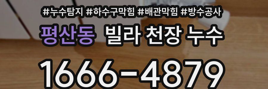 평산동 빌라 천장 누수