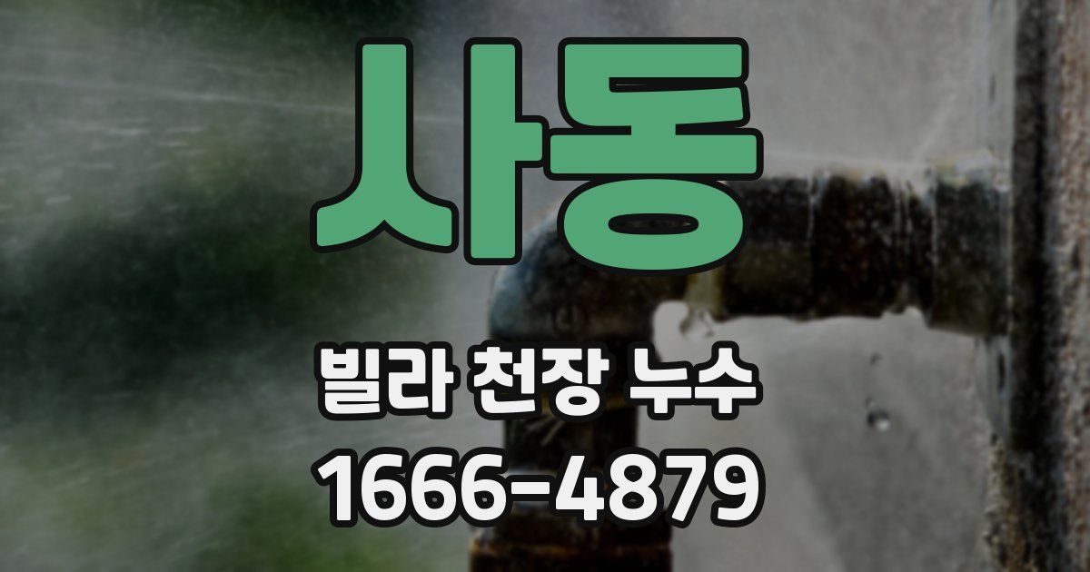 사동 빌라 천장 누수
