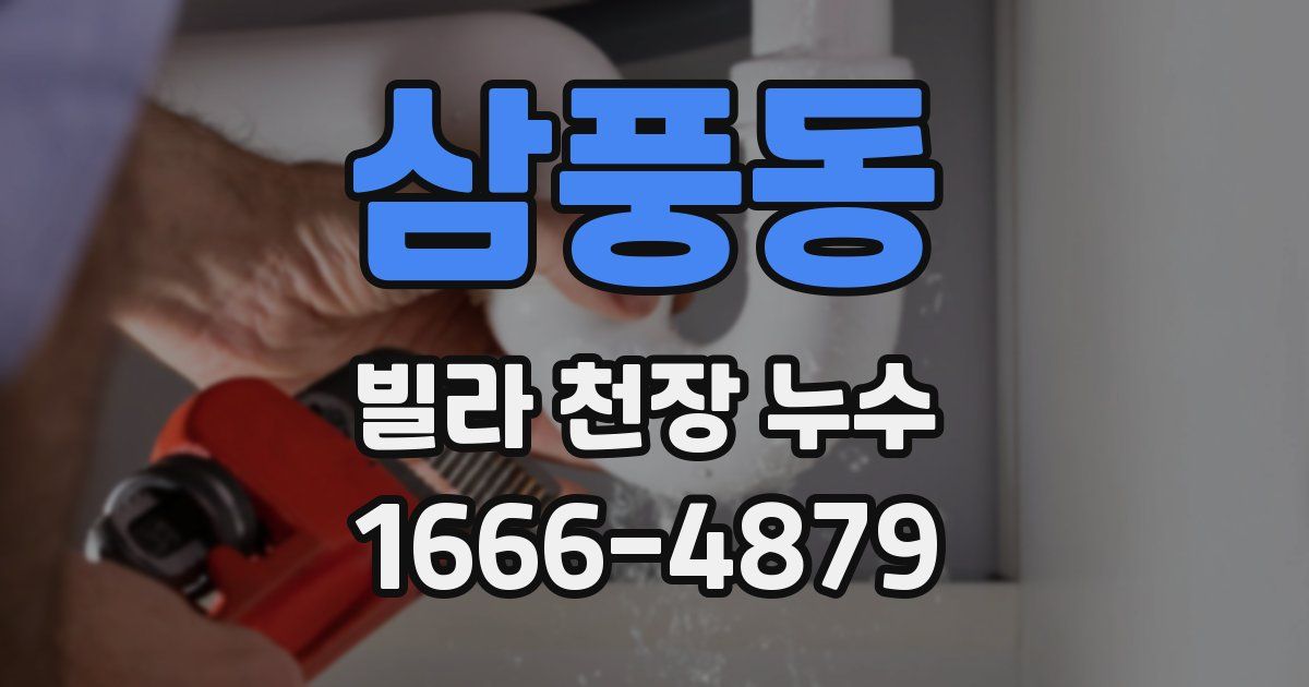 삼풍동 빌라 천장 누수