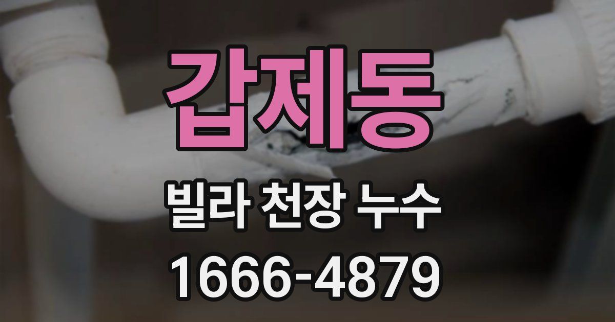 갑제동 빌라 천장 누수