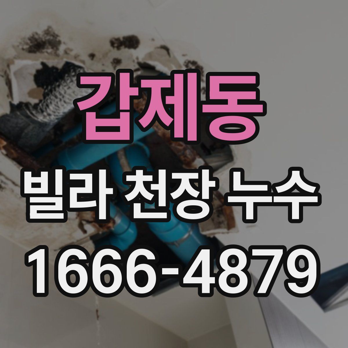갑제동 빌라 천장 누수