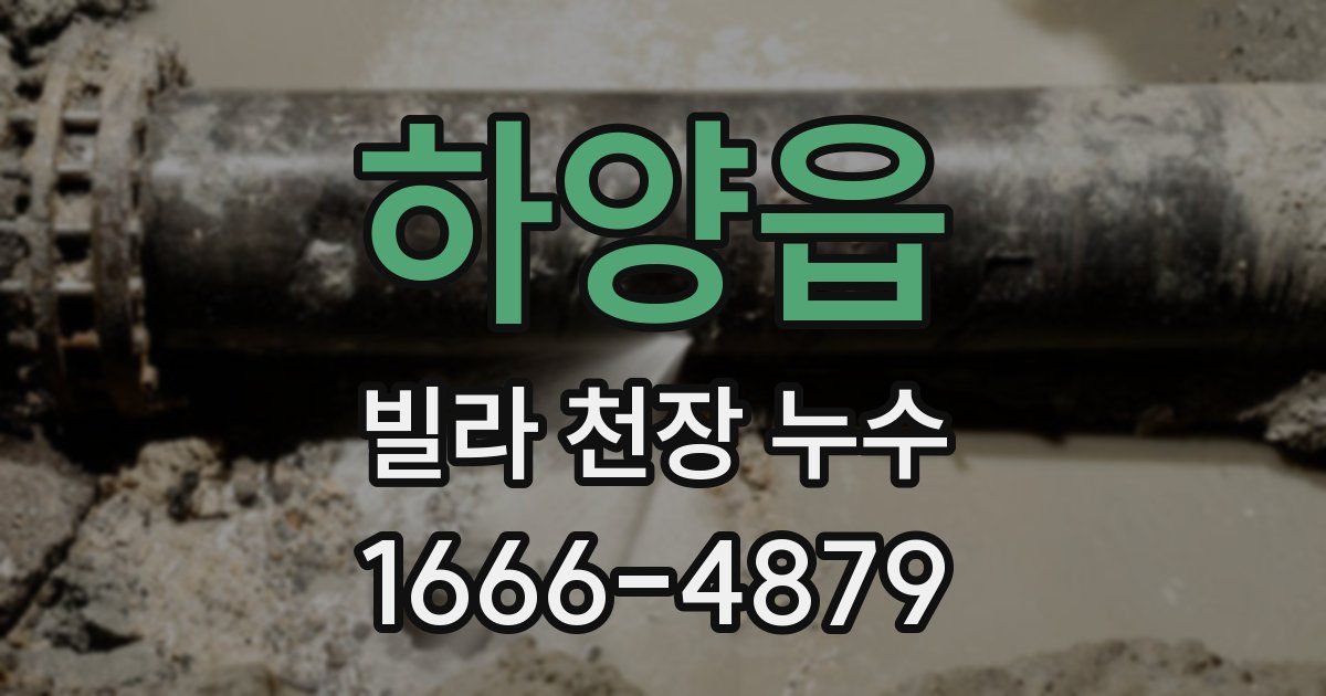 하양읍 빌라 천장 누수