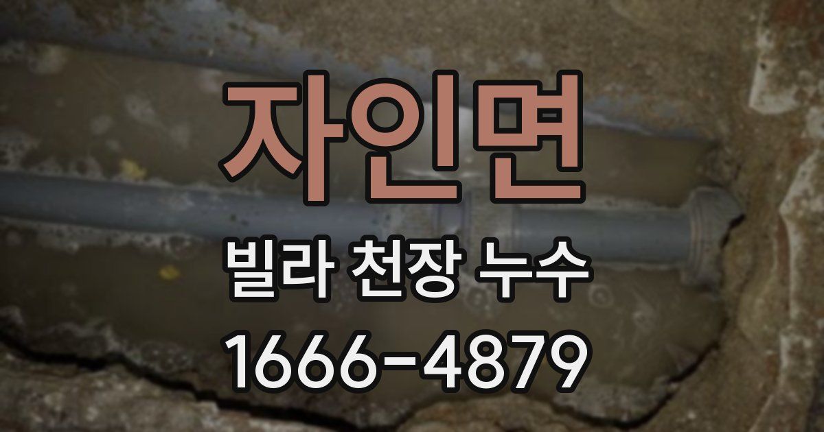 자인면 빌라 천장 누수
