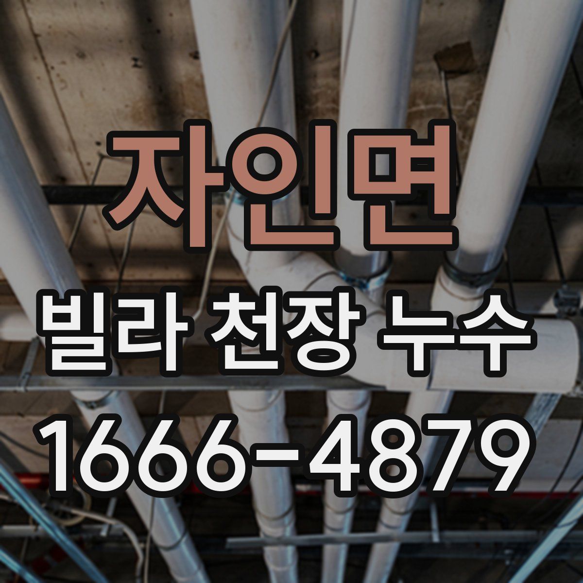 자인면 빌라 천장 누수