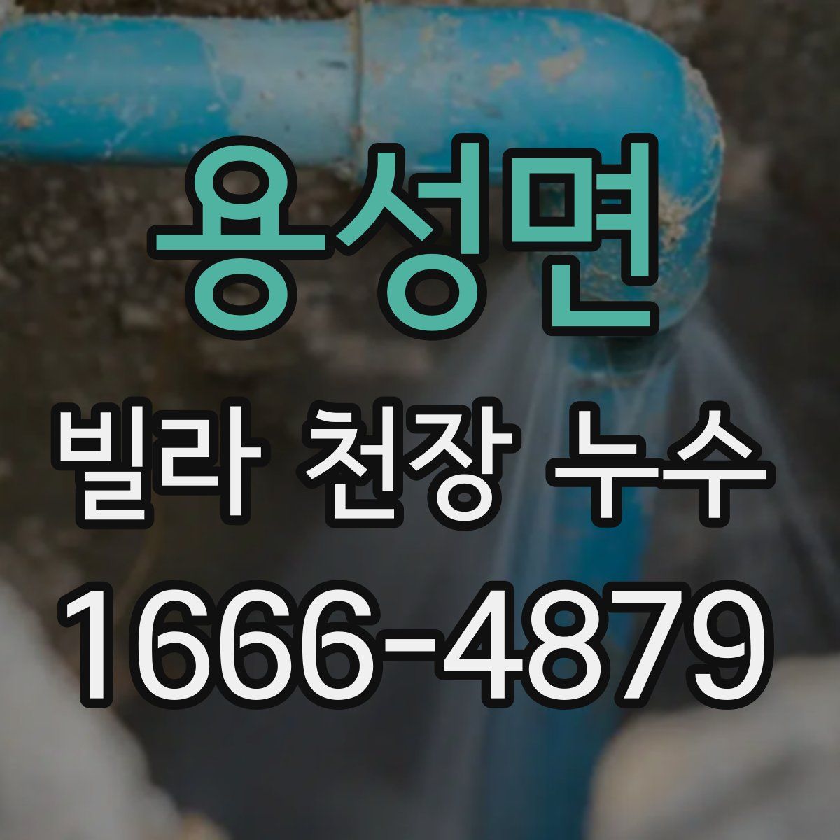 용성면 빌라 천장 누수