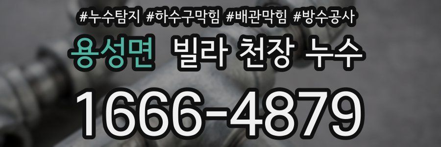 용성면 빌라 천장 누수
