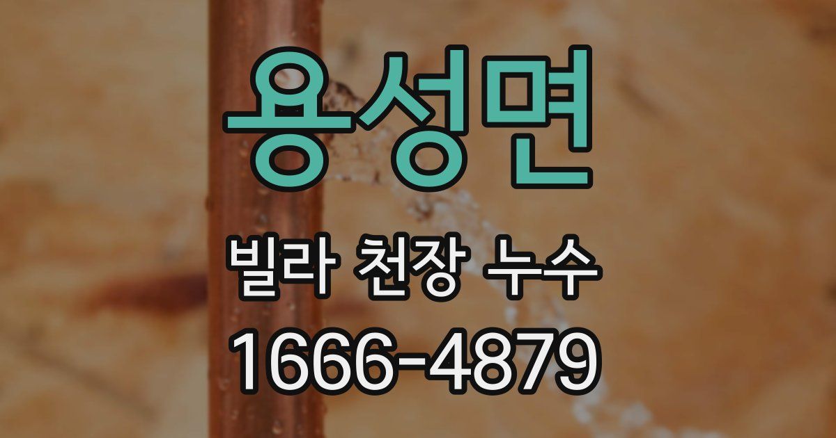 용성면 빌라 천장 누수