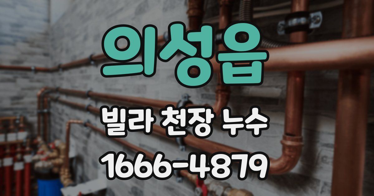의성읍 빌라 천장 누수