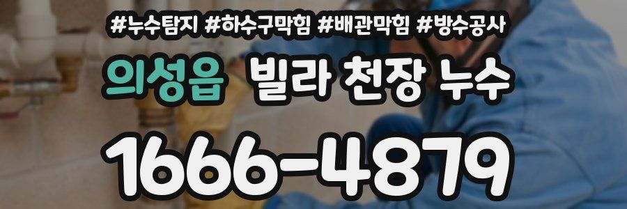 의성읍 빌라 천장 누수